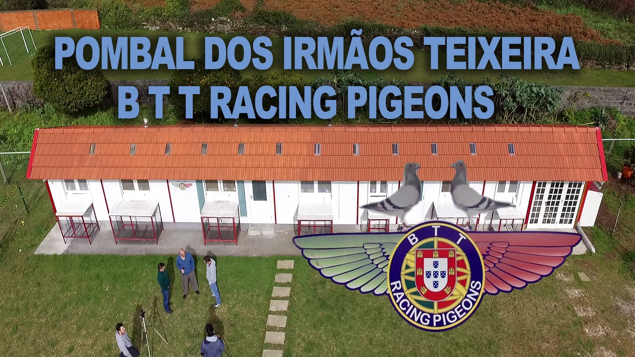 Columbofilia ,à conversa com os Irmãos Teixeira de Silvalde Espinho - NCO