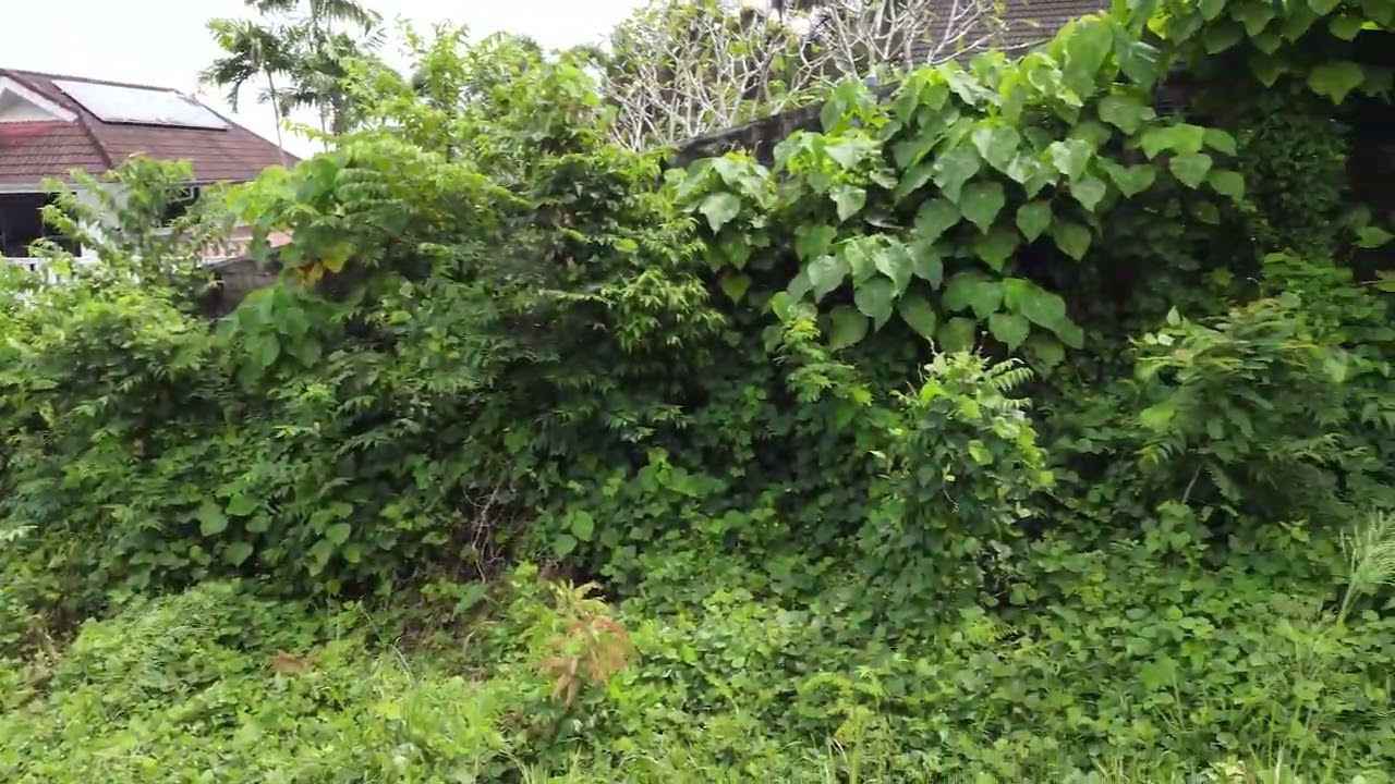 1,428 sqm of Mountain View Land For Sale at Chalong, Phuket Thailand