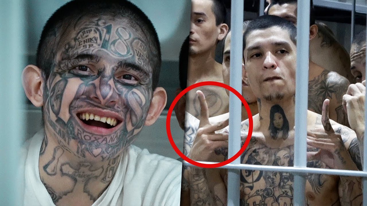 Expertos analizan el lenguaje no verbal de los pandilleros en la c&aacute;rcel...