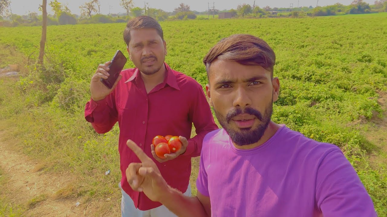 🍅व्यापारी आए टमाटर देखने के लिए/🍅The Merchant Came To See The Tomatoes#tameto #farmlife #farm #vlog 