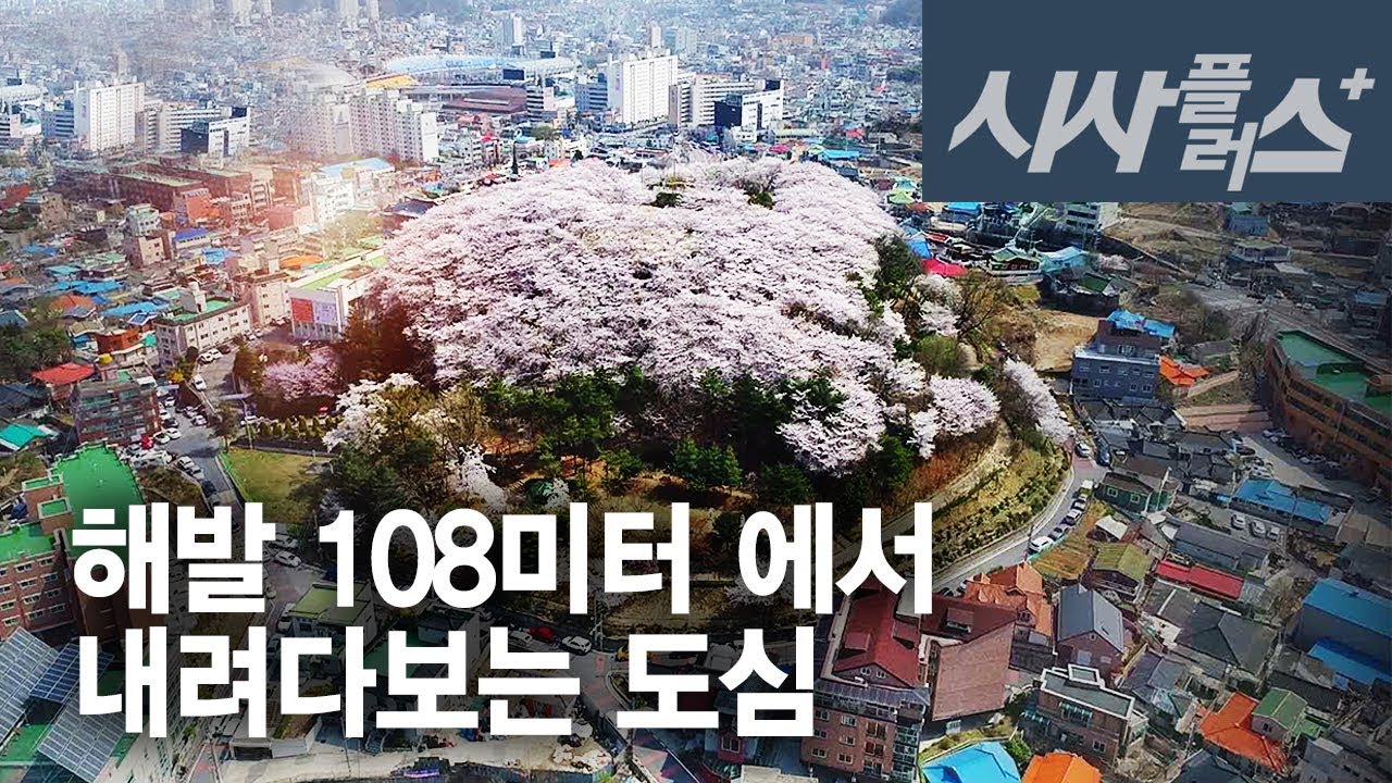 대전의 새로운 힐링공간, 테미오래 2019 0129 시사플러스