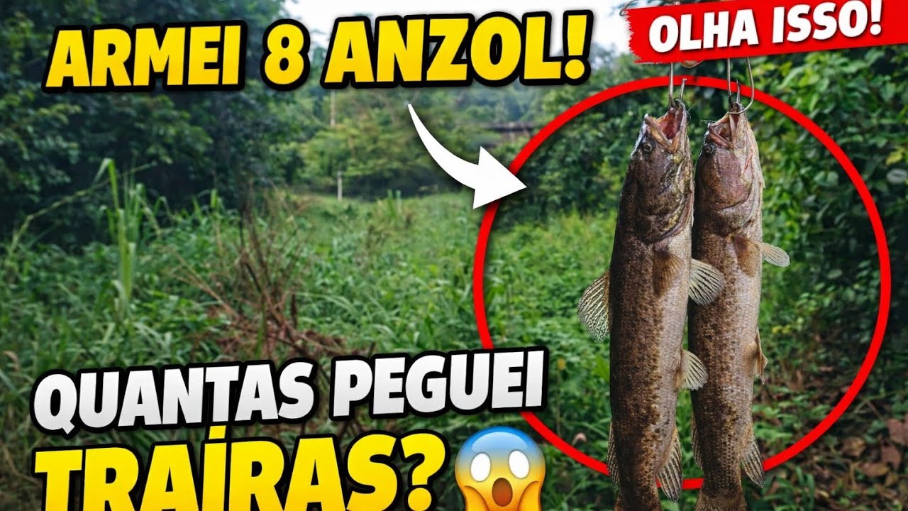 Fui Olhar oito anzóis que armei com lambari será que teve resultado!
