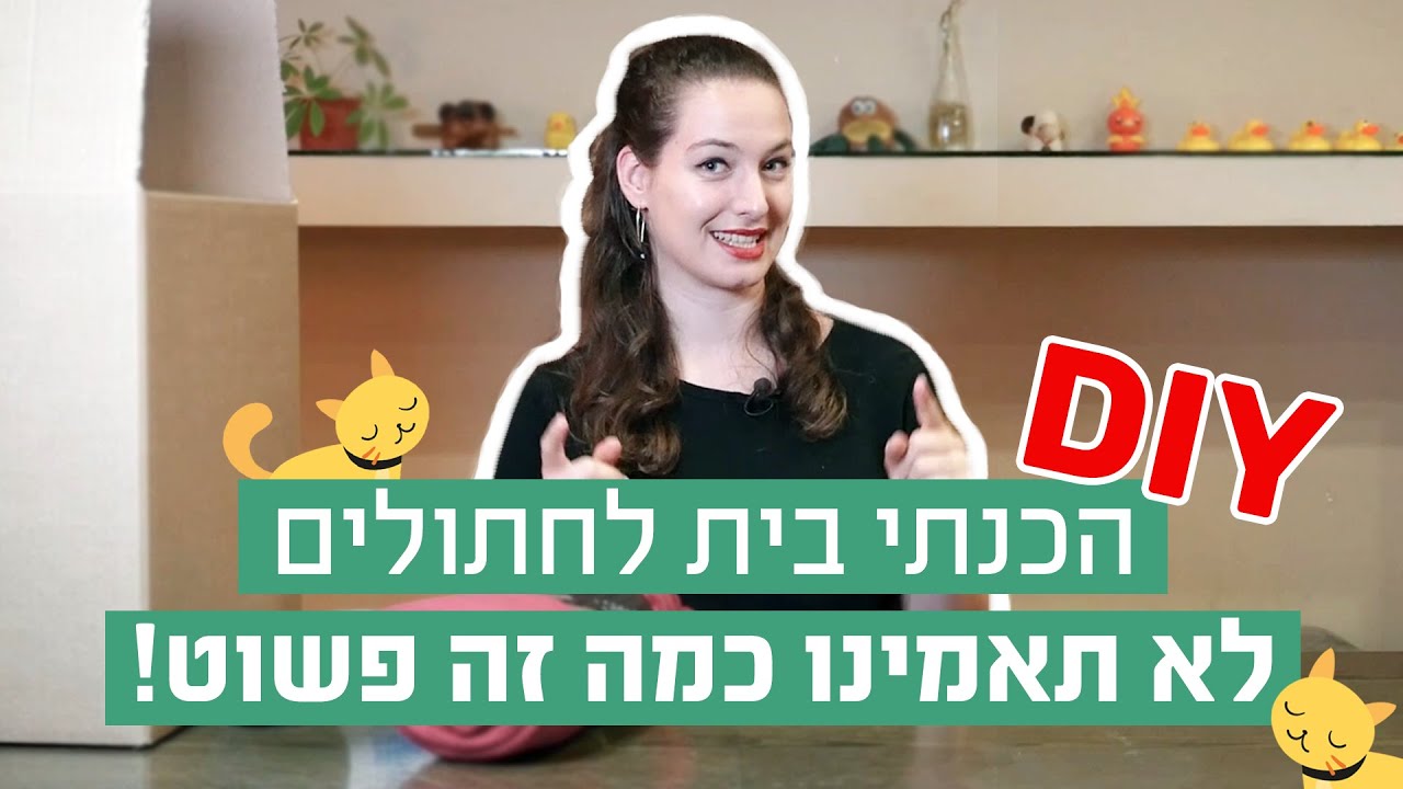 בית מושלם לחתולי רחוב! | איך להכין בבית | ויגן לייף