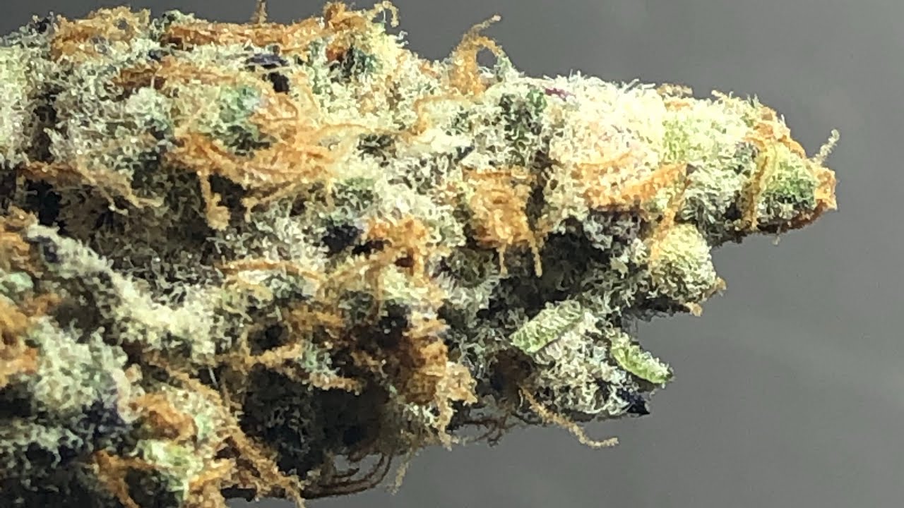 Tang Breath strain review