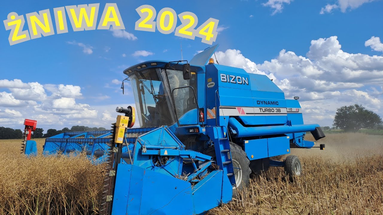 ŻNIWA 2024! BIZON DYNAMIC TURBO 3B! #żniwa2024 #bizon