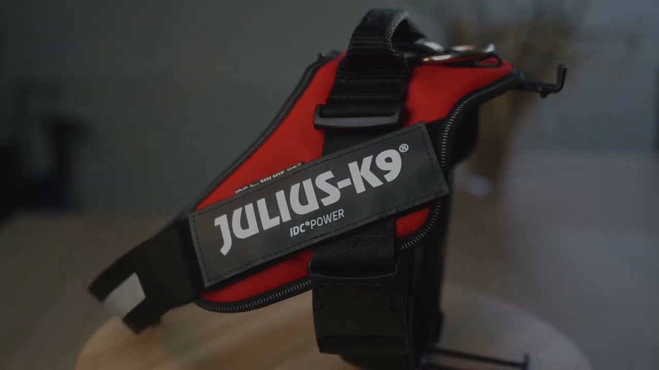 Julius K9 &ndash; As&iacute; nace un cl&aacute;sico en arneses para perros