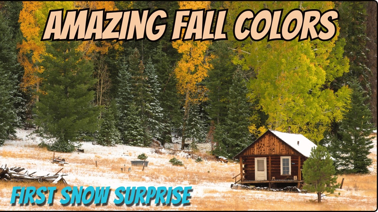 Arizona Fall Colors: Greer & White Mountains Trip