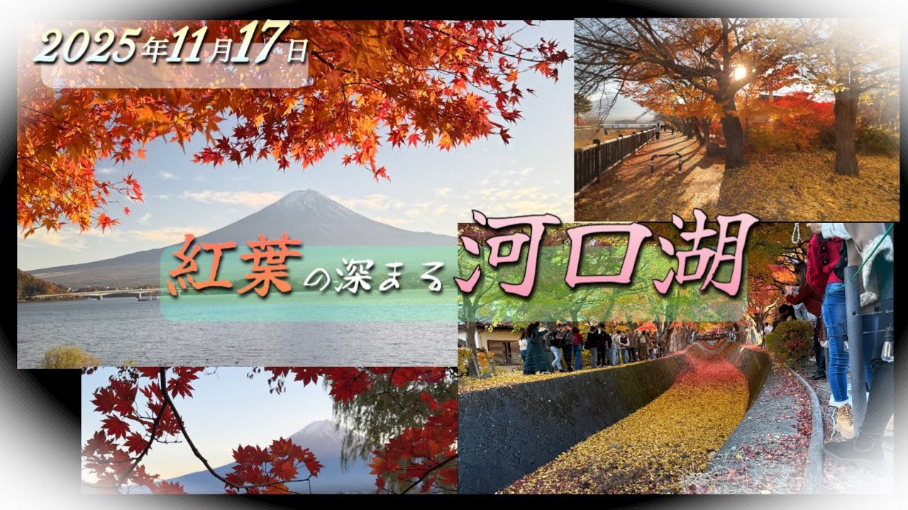 紅葉の深まる河口湖（2025年11月17日）