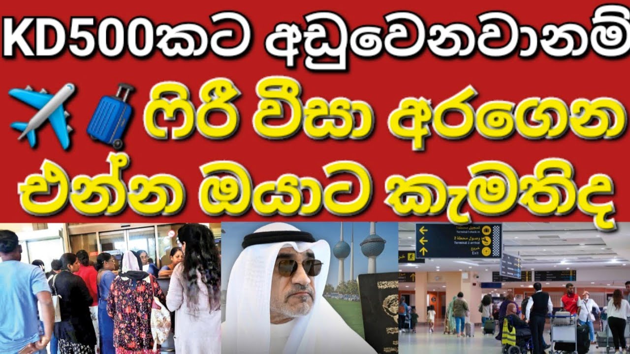 🇰🇼☝️✈️🧳ෆිරී වීසා කුවේට් වල වැඩ කරන්න එනවද ඔයා #sarfanbavlog #kuwaitsinhalanews #srilankabreakingnews