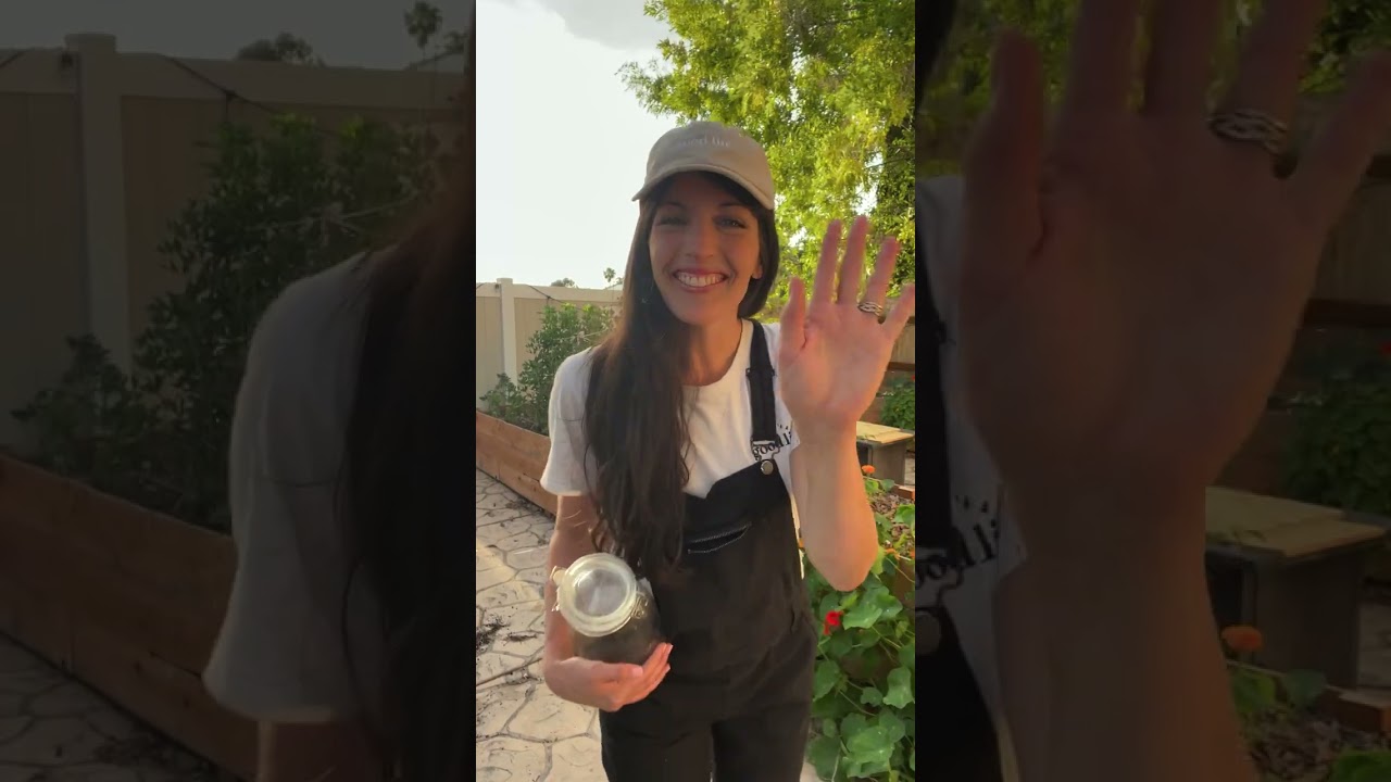 It all Started Here... Meet my Egg Apron!