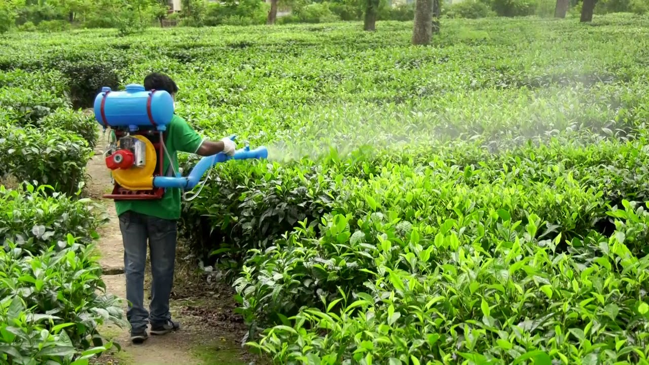 BOLO MIST BLOWER USED IN TEA PLANTATION