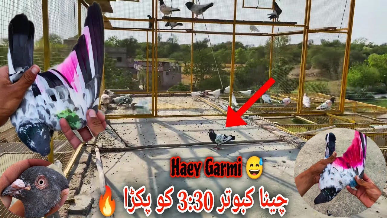 Itni Garmi Me Pakra Cheena 3:30 End🔥