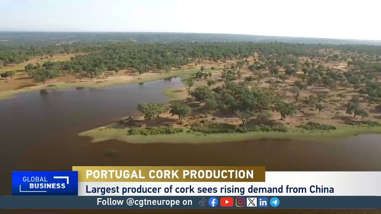 Portuguese cork production buoyant with rising demand from China