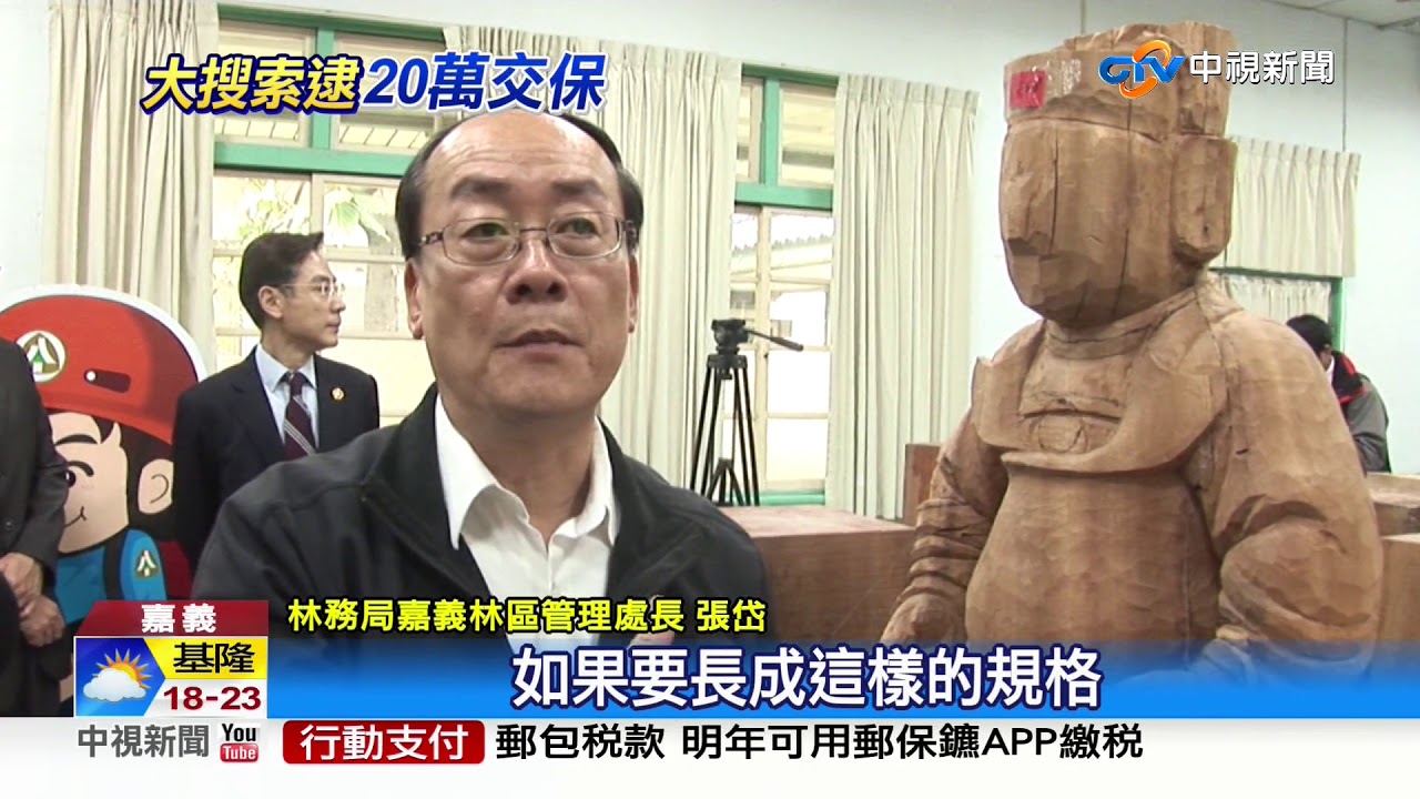 創紀錄!破獲山老鼠集團 查扣50噸木材價值上億│中視新聞 20191224
