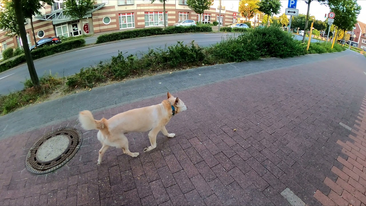 Dorsten, 23.07.2021