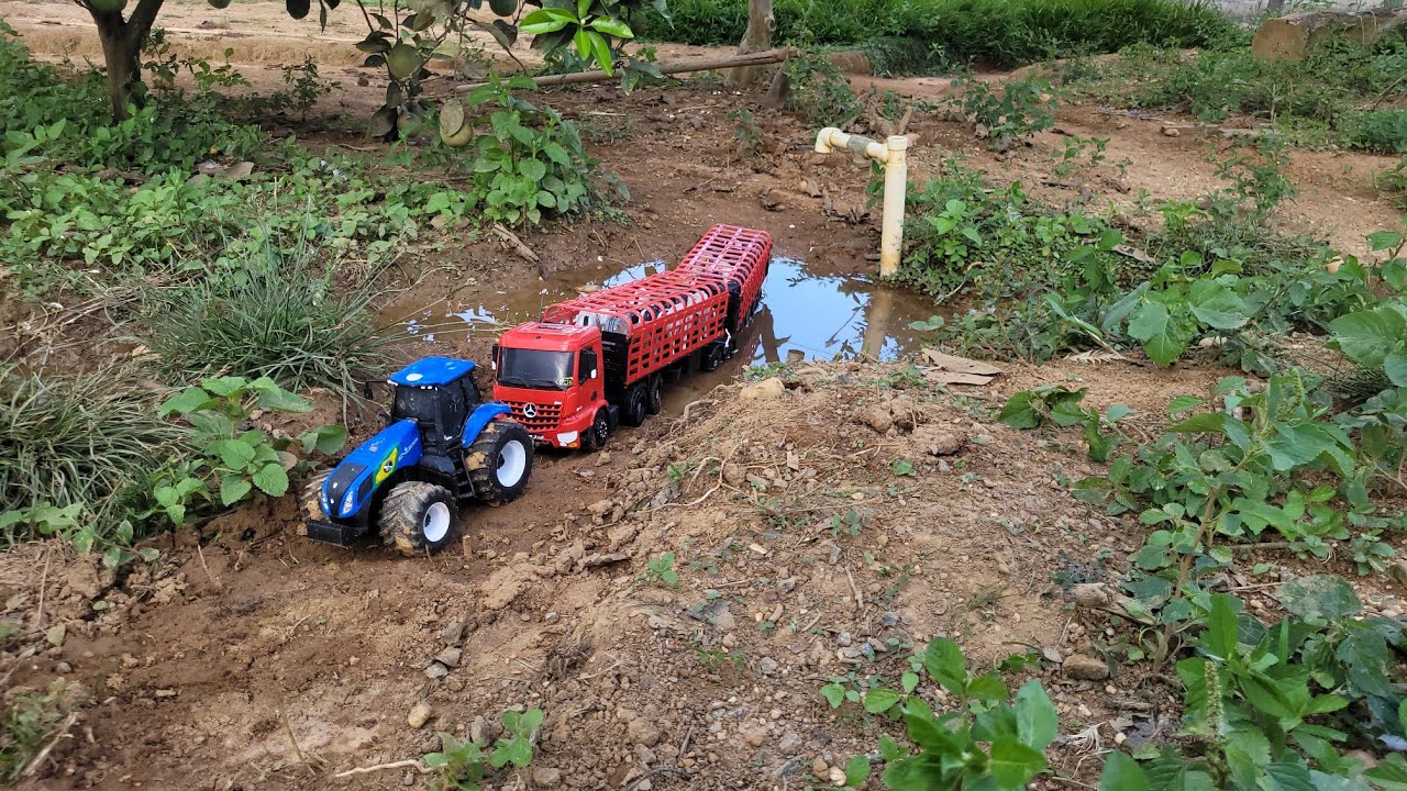 PUXANDO O GADO PARA O CONFINAMENTO! 🤠