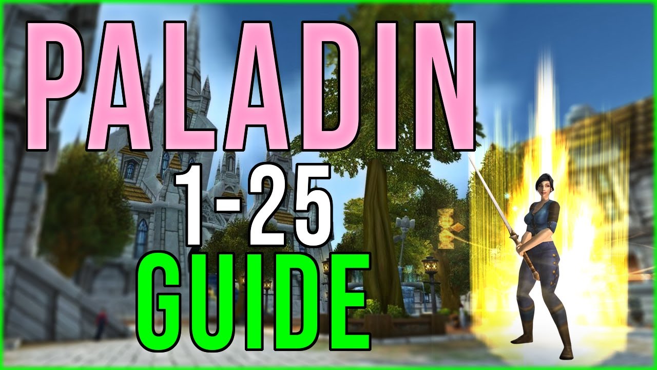 SEAL TWISTING? Beginner Paladin 1-25 Leveling Guide SoD WoW