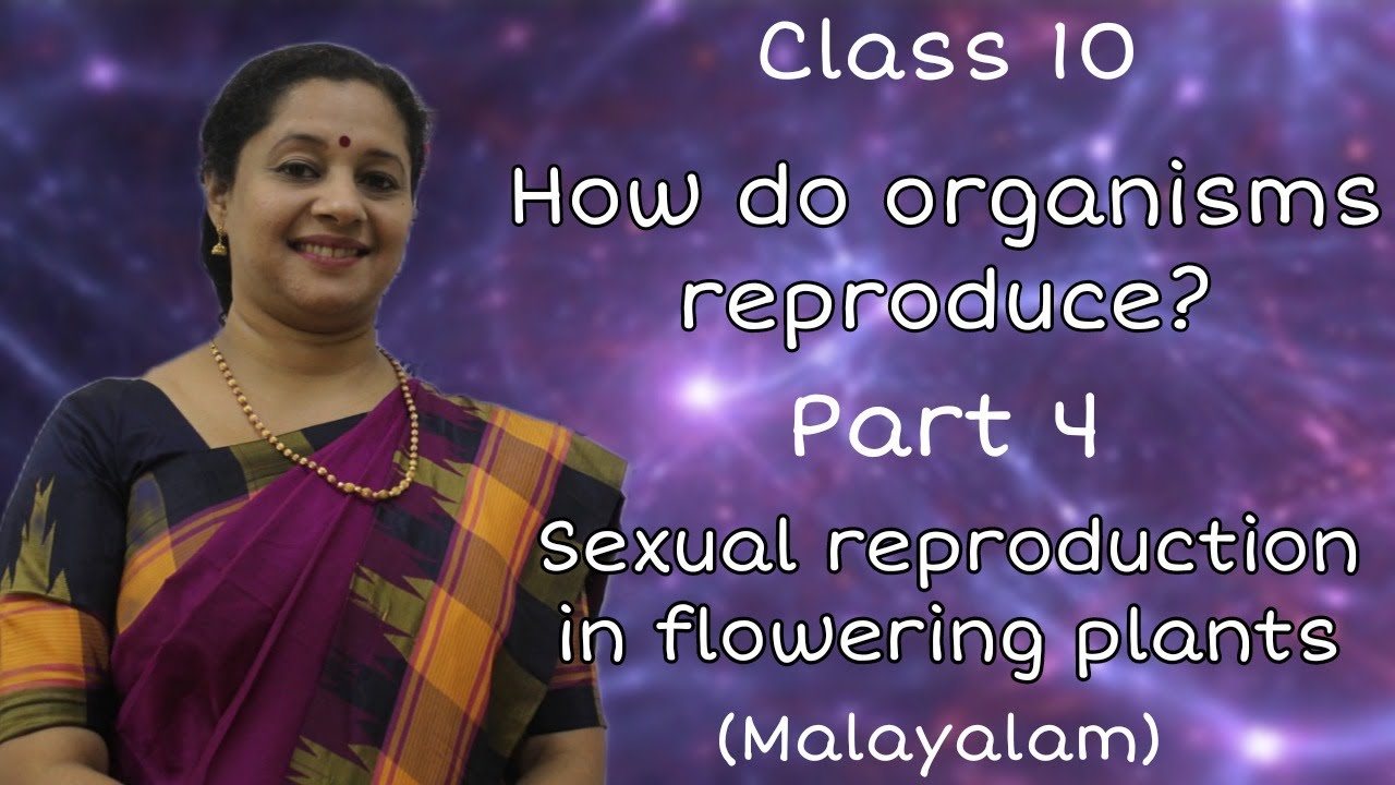 CLASS10: BIOLOLGY: HOW DO ORGANISMS REPRODUCE? (MALAYALAM) PART 4