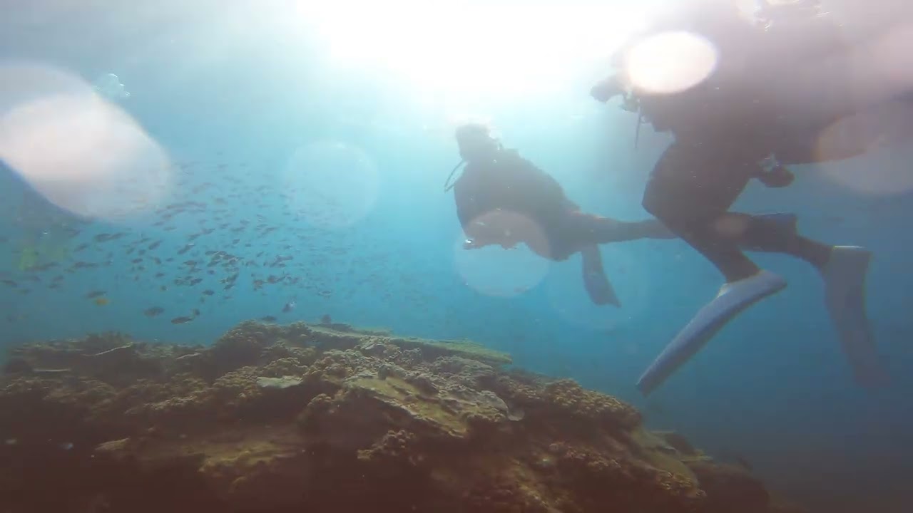 Exploring the Most Beautiful Reef I've Ever Seen