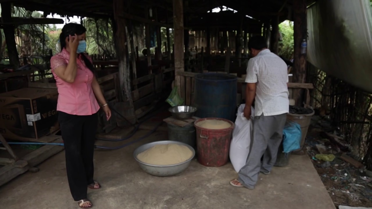 ការផលិតចំណីជ្រូក Pig Food Production (upload by Chanthou)