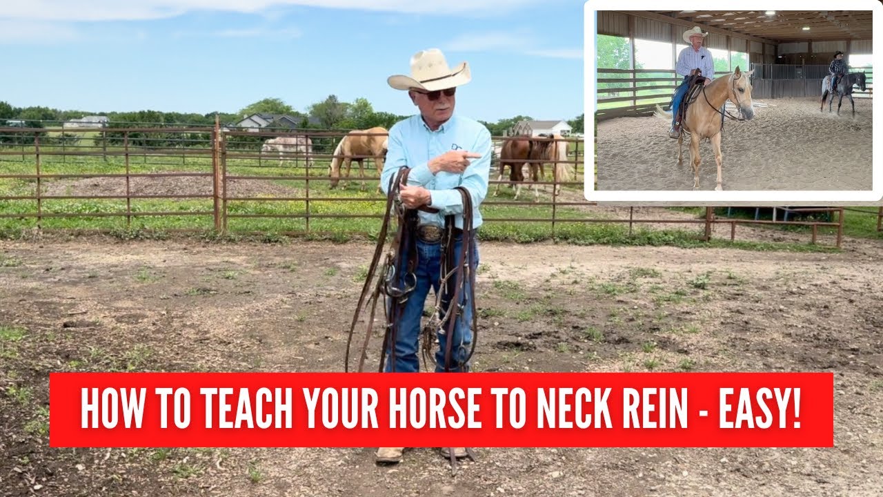 D/C Teach Your Horse to Neck Rein | Step-by-Step - Made Easy