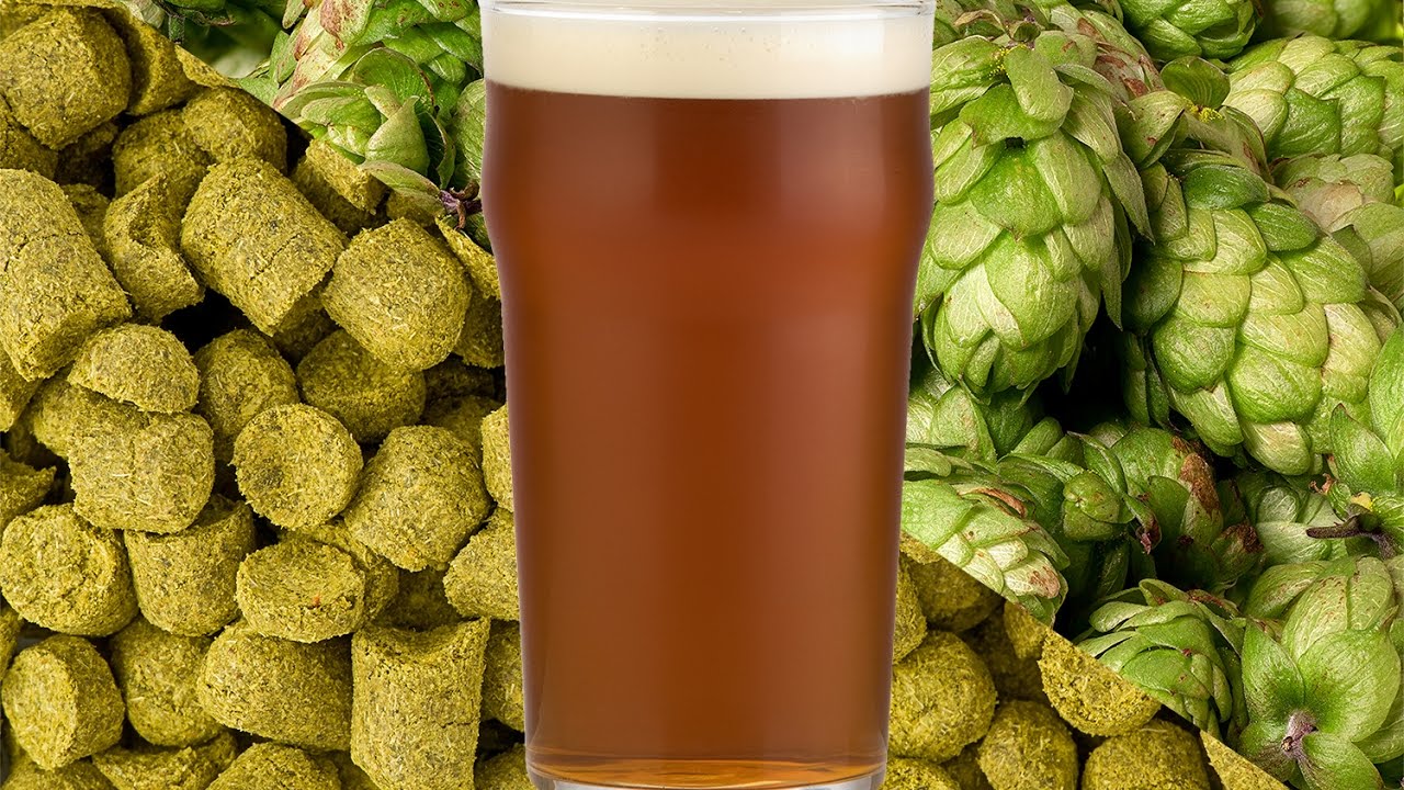 Different Styles, Same Category - Talking Beer 4/26/17