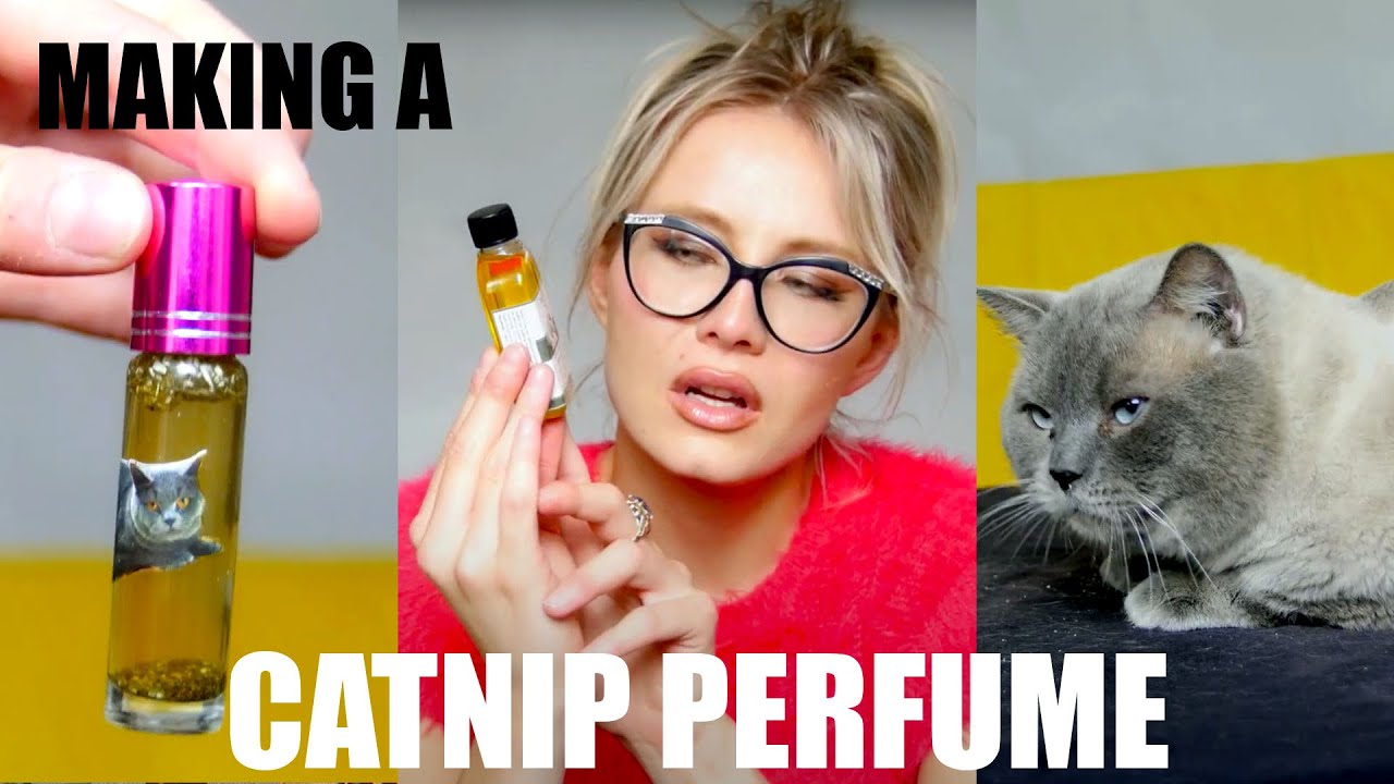 ✨ Making a CATNIP PERFUME so my cat is obsessed with me 😹 / Nina Tribus
