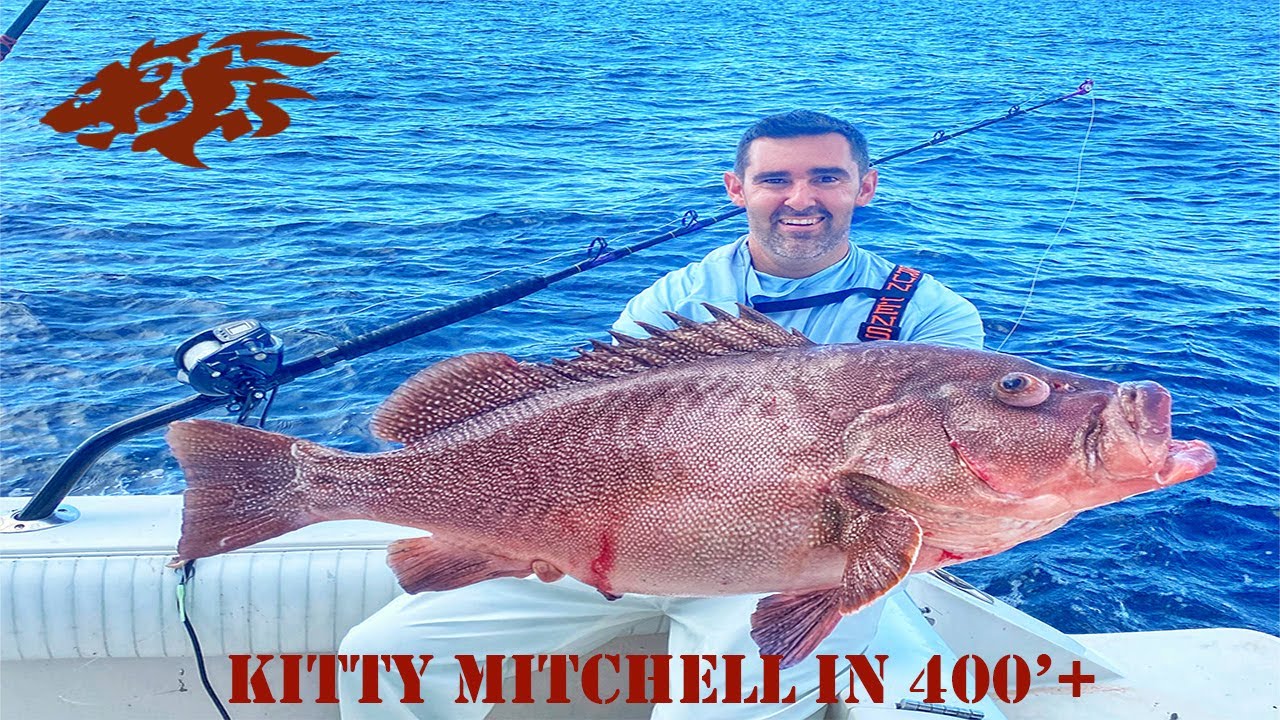 HUGE Kitty Mitchell, Gag Grouper, and Red Snapper - Deep Dropping Gulf of Mexico