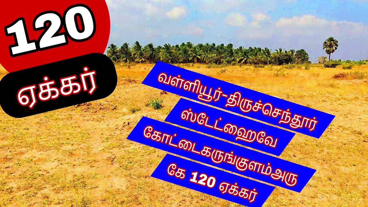 வள்ளியூர்-திருச்செந்தூர்ஹைவேயில்கோட்டைகருங்குளம் 120 ஏக்கர்நிலம்-2406-026.02.20