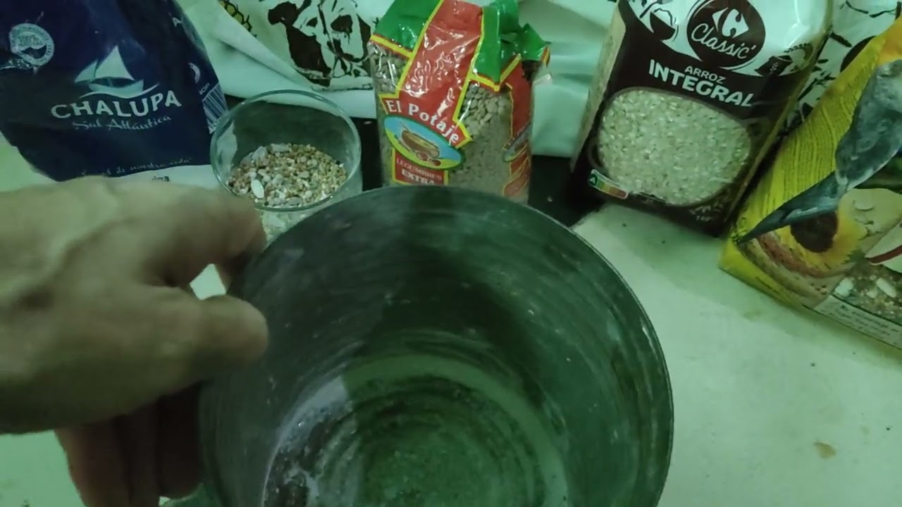 La alimentación quiero dar a mis palomas para que cojan bastante celo