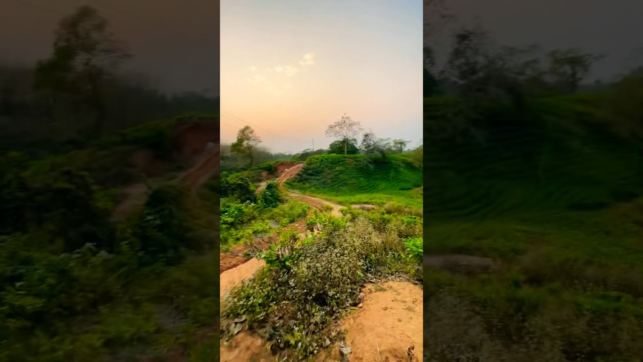 Kamalasagar Tea Estate #tripura #teaestates #kalitemple