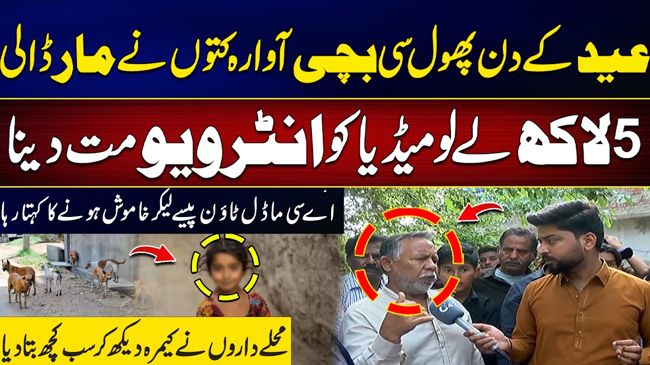 Innocent Girl Mauled by Strays on Eid: AC Model Town Offered 5 Lakh for Silence? | City42