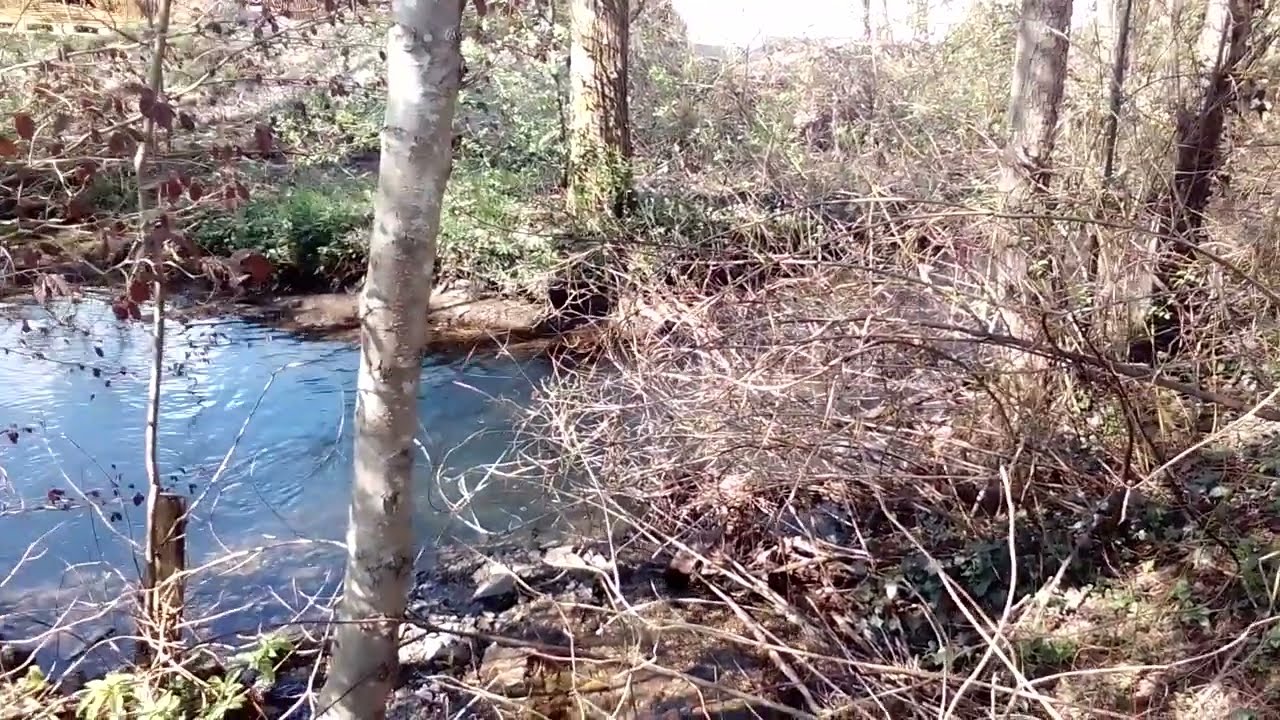 Vom Struthwald Richtung Silberardt