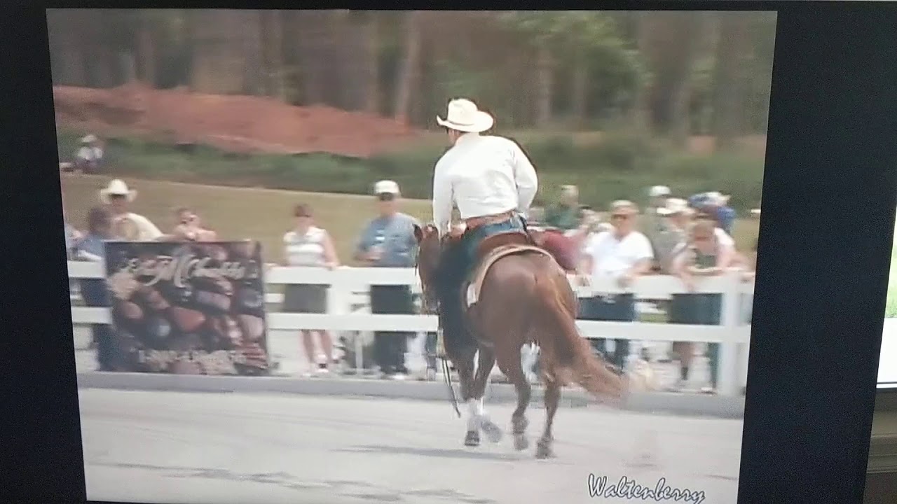 1999 Whizard Jac and Mike Flarida
