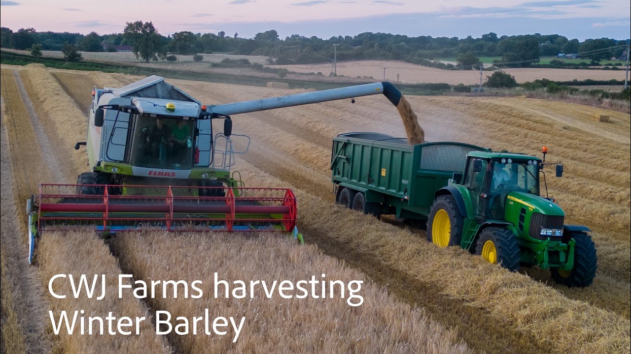 CWJ Farms Harvesting Winter Barley - Yorkshire Uk Harvest 2023