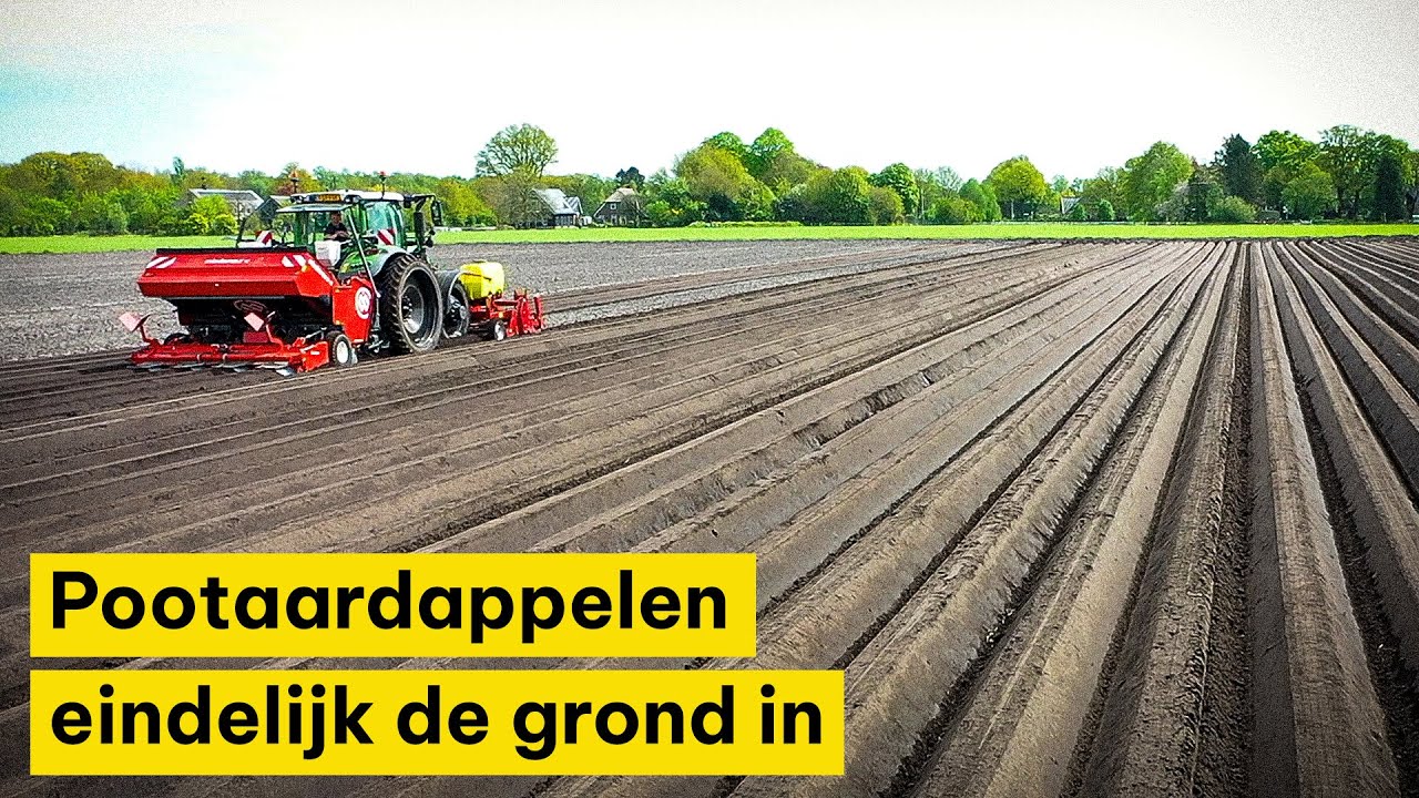 Pootaardappelen eindelijk de grond in Wijster: ‘Niet bang dat het te laat wordt’