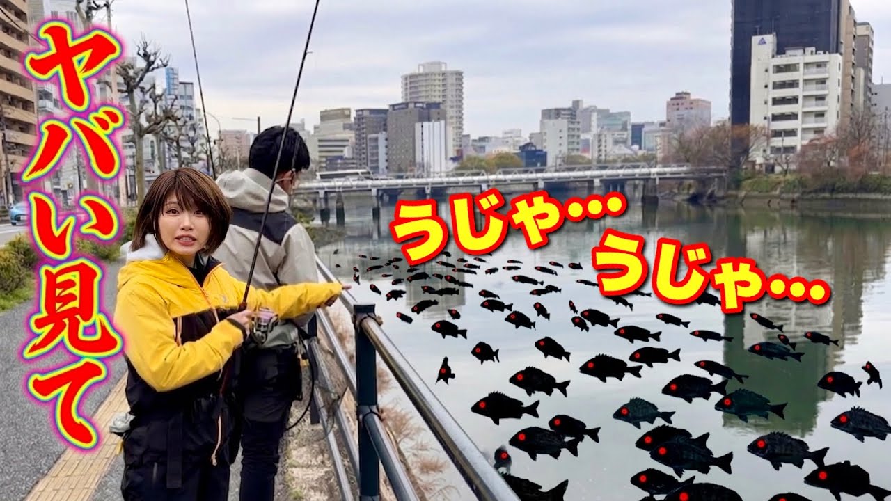 【異常繁殖】何コレ⁉大都会の河川でデカい魚がうじゃうじゃ釣れるらしい&hellip;