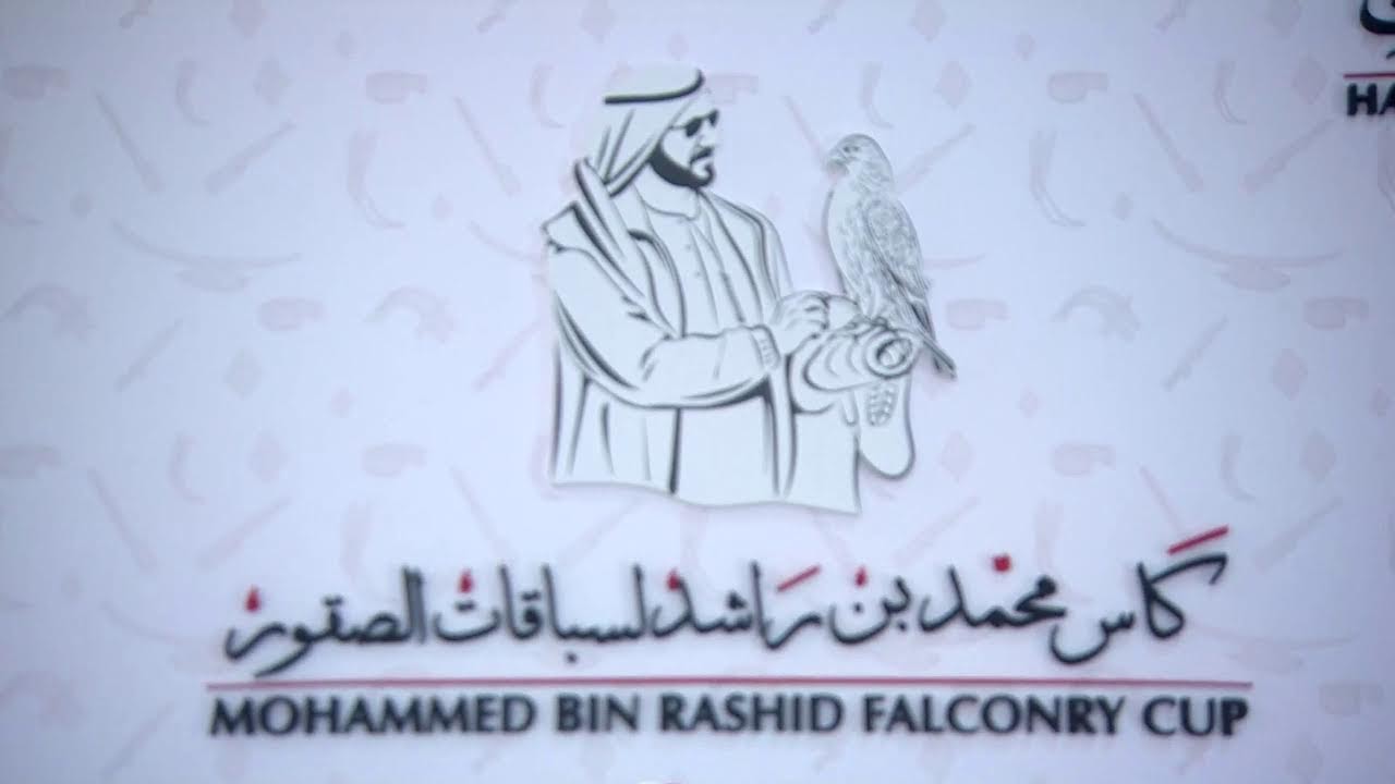 كاس  محمد بن راشد لسباقات الصقور - 2023-2024 -  أشواط الكاس