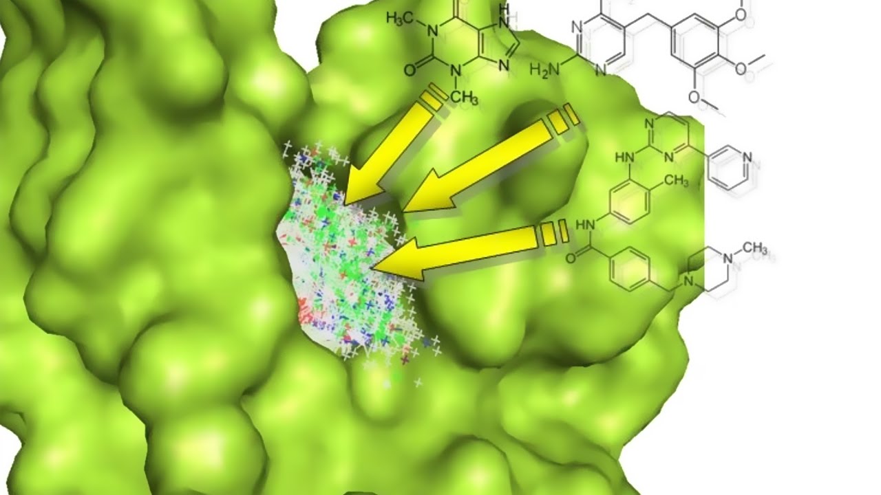webinar recording: structure-based design of riboswitch and kinase ligands