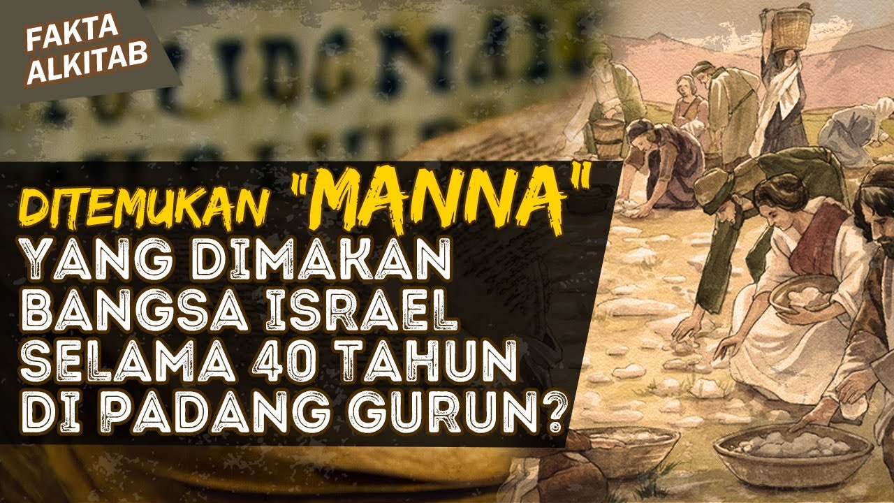 DITEMUKAN 