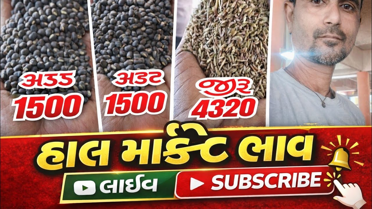 યાર્ડ બ્લોગ | જામજોધપુર યાર્ડ ની બજાર જાણો ||