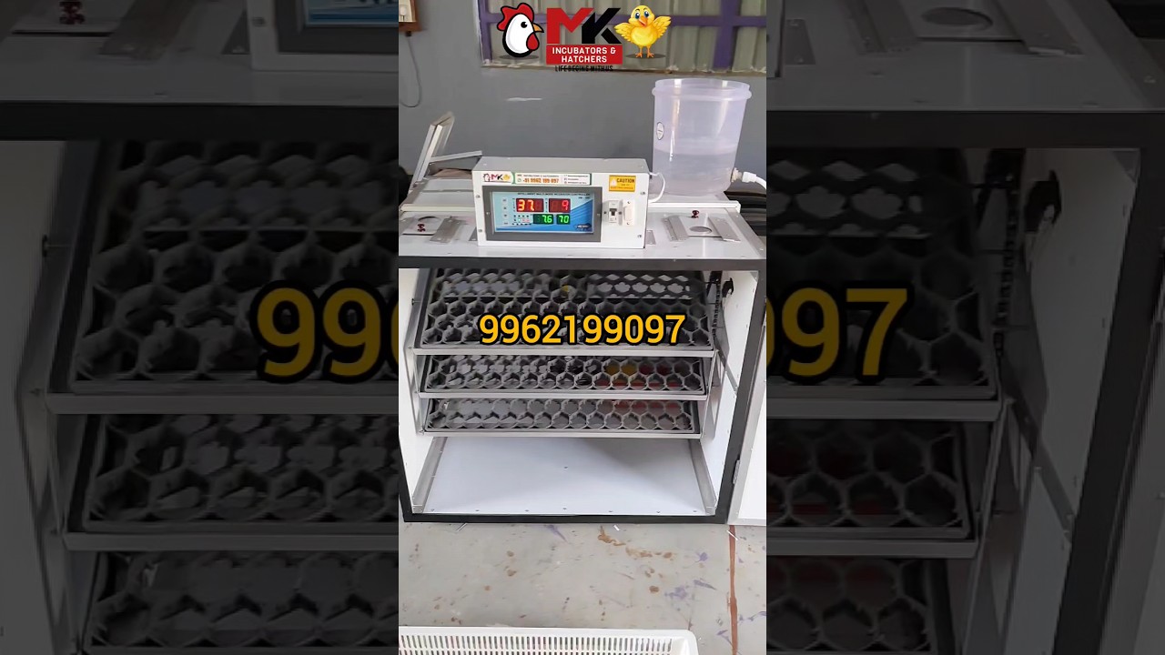 automatic incubator #ingupator #incubator #ytshort #eggincubation #nattukoli