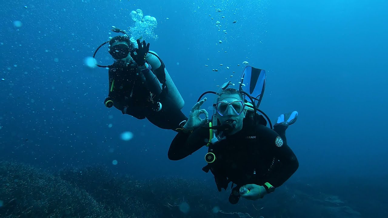 Diving at the Abrolhos Islands - 2021