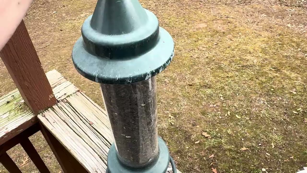 The best squirrel proof birdfeeder I’ve used. 