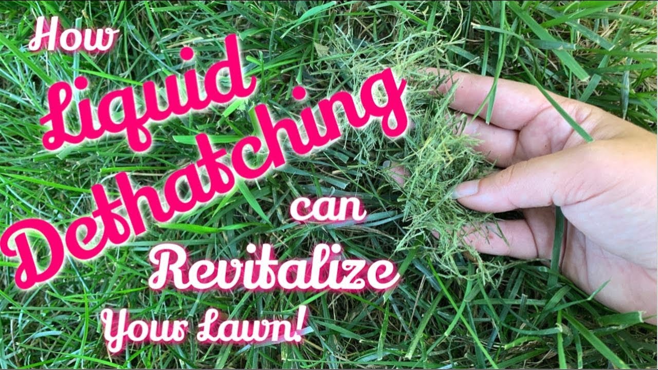 Liquid D-Thatch | PPLM | (804) 530-2540