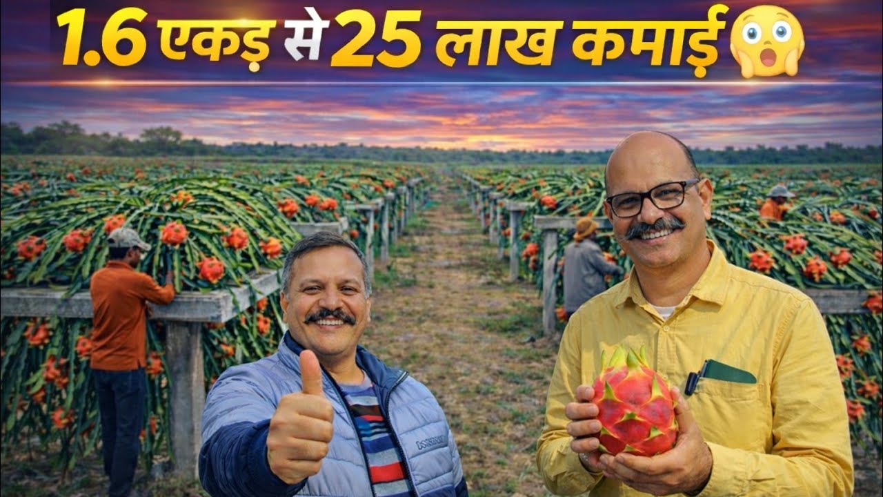 “1.6 एकड़ में 25 लाख कमाई? ड्रैगन फ्रूट खेती का पूरा सच!”