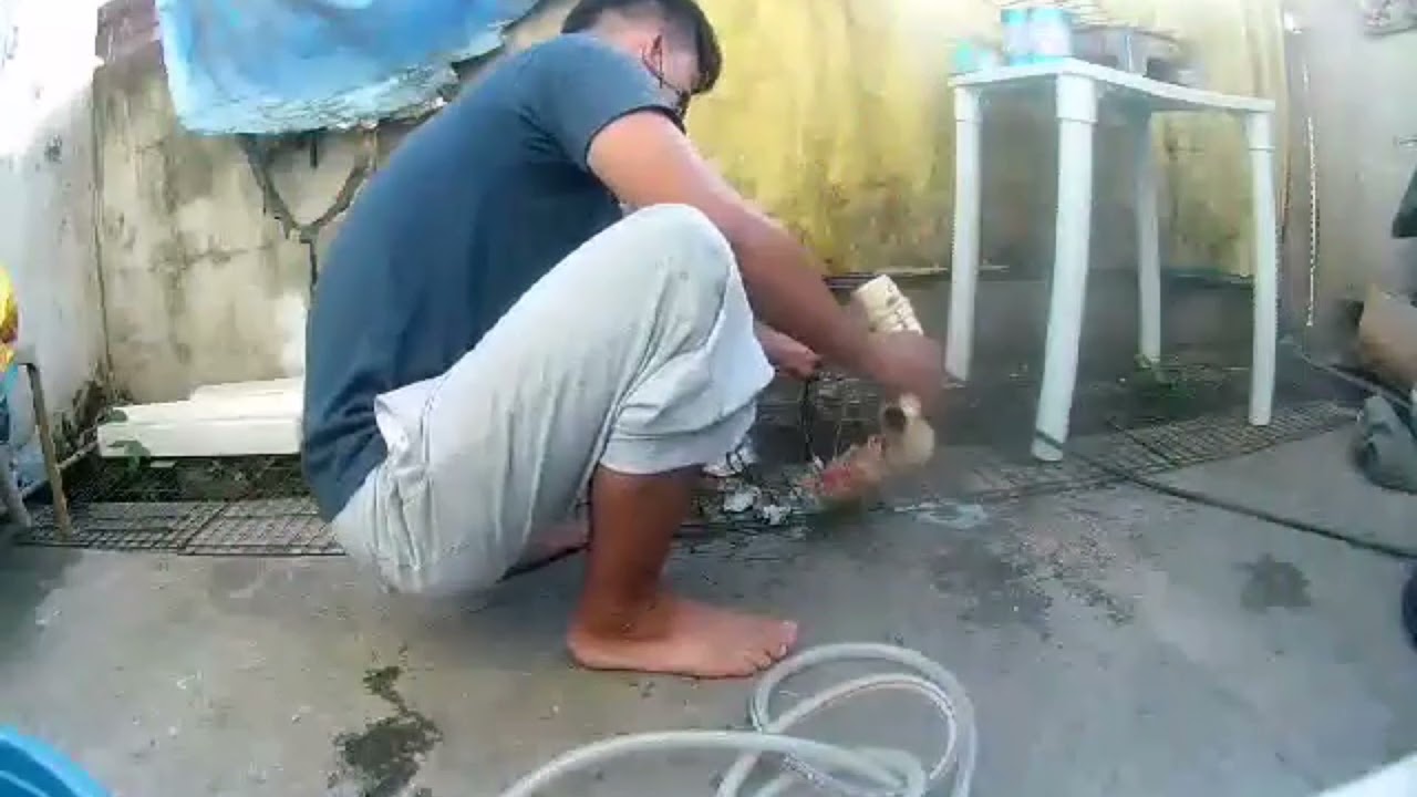 Manual Declogging - Cleaning and Clearing Clogged Kitchen Sink