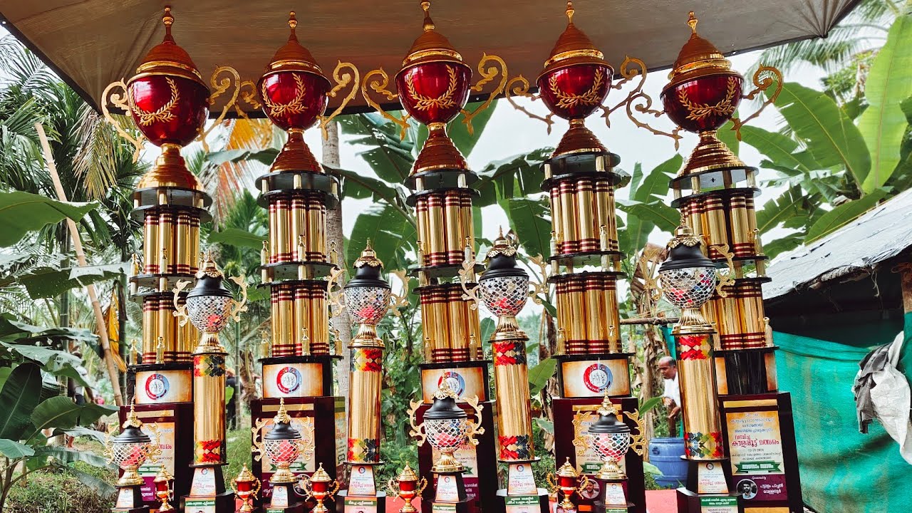 50:50 കാളപൂട്ട്   കൊളങ്ങര കരുളായി