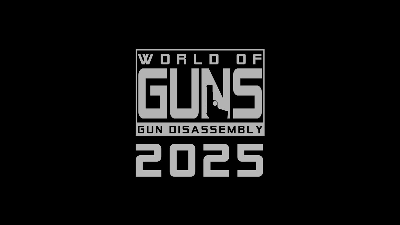 Weapon Highlights 2025 | World of Guns