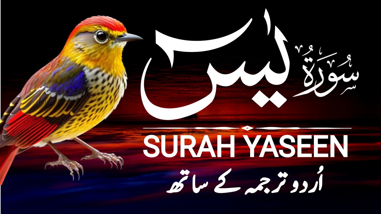 Surah Yaseen With Urdu Translation Full | Best Tilawat | Episode - 418